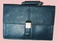 Executive Portfolio Bags (1502)